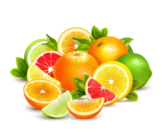 Citrus Fruits 4026534 15784 1 1